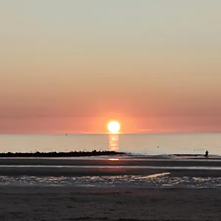 Knusse Met Groot Terras Te Middelkerke! Apartamento